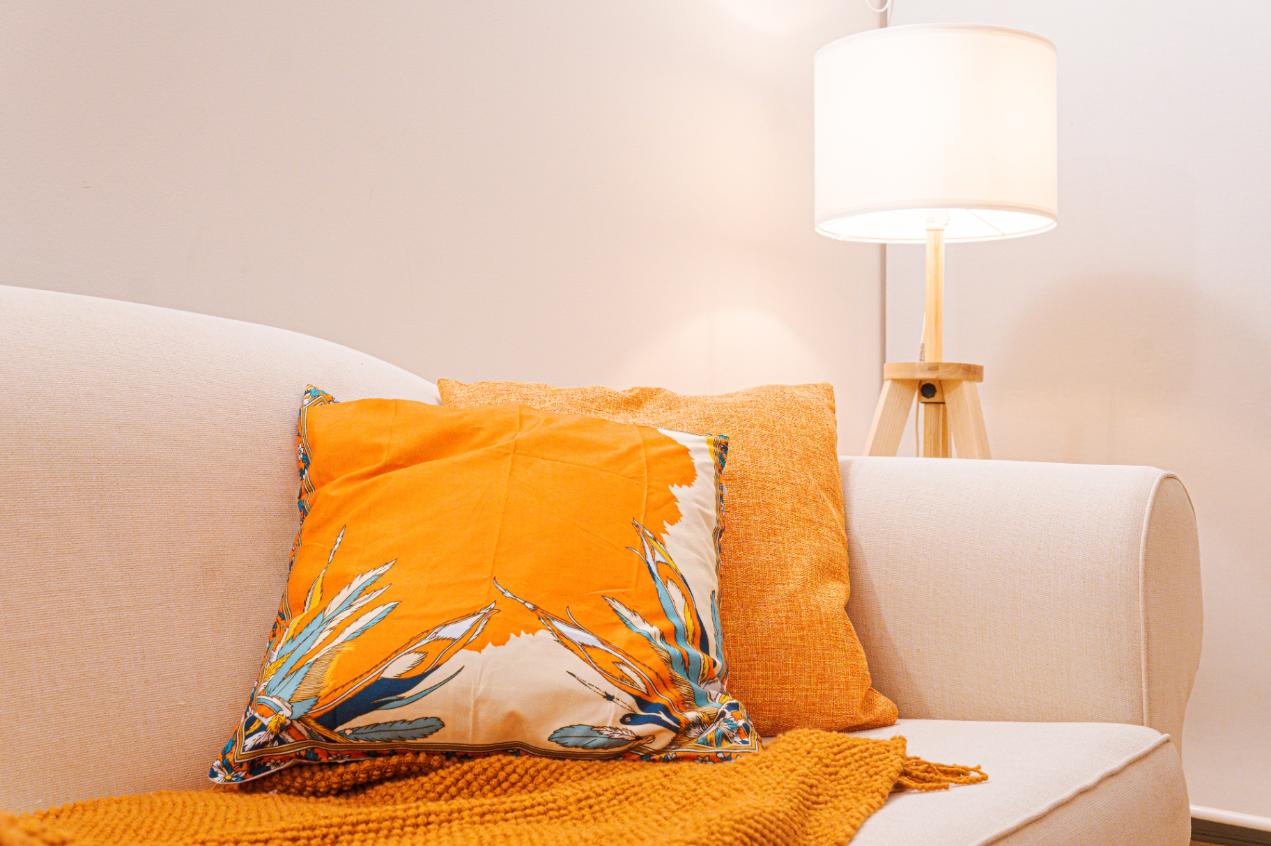 Cushion and lamp detail on sofa